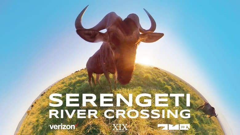 Backdrop from Serengeti River Crossing