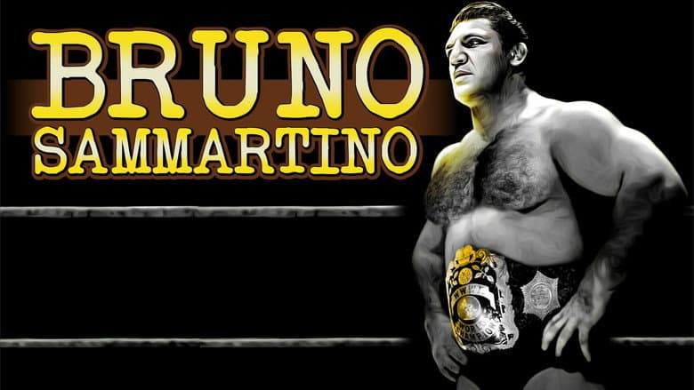Backdrop from Bruno Sammartino