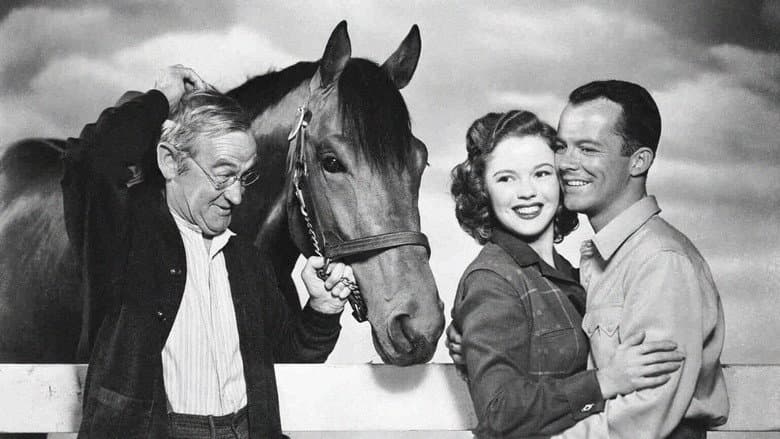 Backdrop from The Story of Seabiscuit
