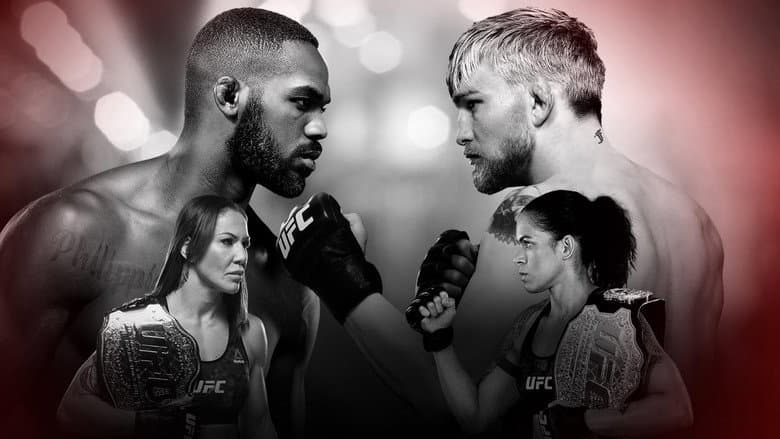 Backdrop from UFC 232: Jones vs. Gustafsson 2