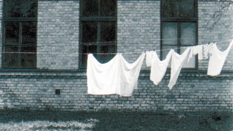 Backdrop from The Linen