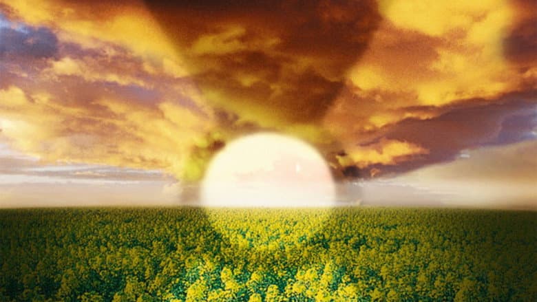 Backdrop from The Cloud