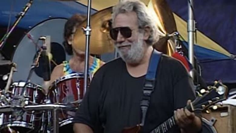 Backdrop from Grateful Dead: View from the Vault IV