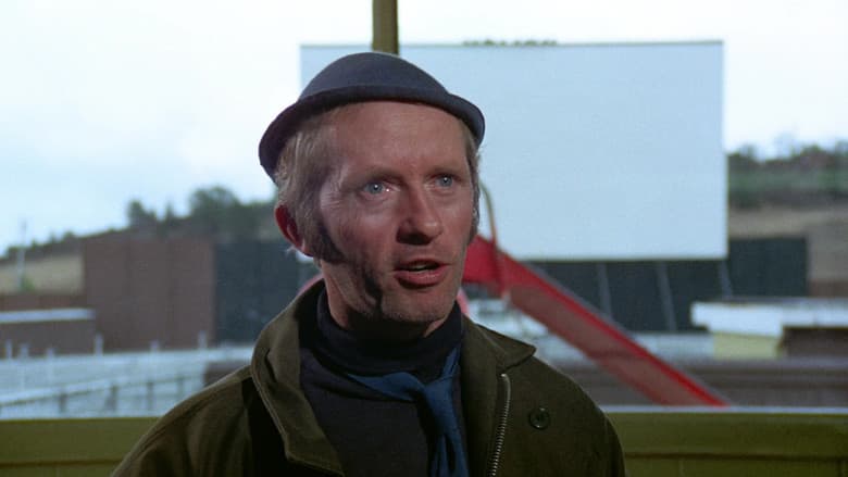 Backdrop from Drive-In Massacre
