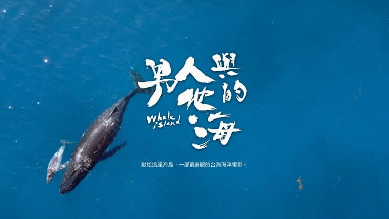 Backdrop from Whale Island