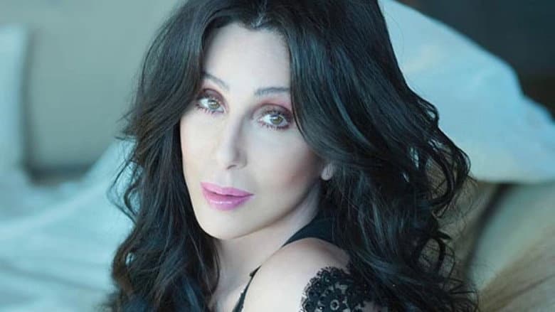Backdrop from Cher ‎– The Very Best Of Cher - The Video Hits Collection