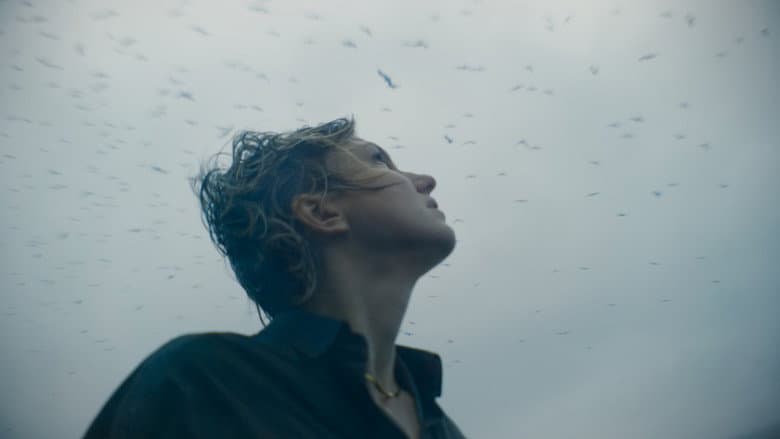 Backdrop from Ghosts of the Sea