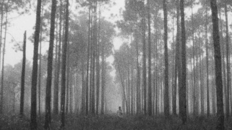 Backdrop from Chapter 9