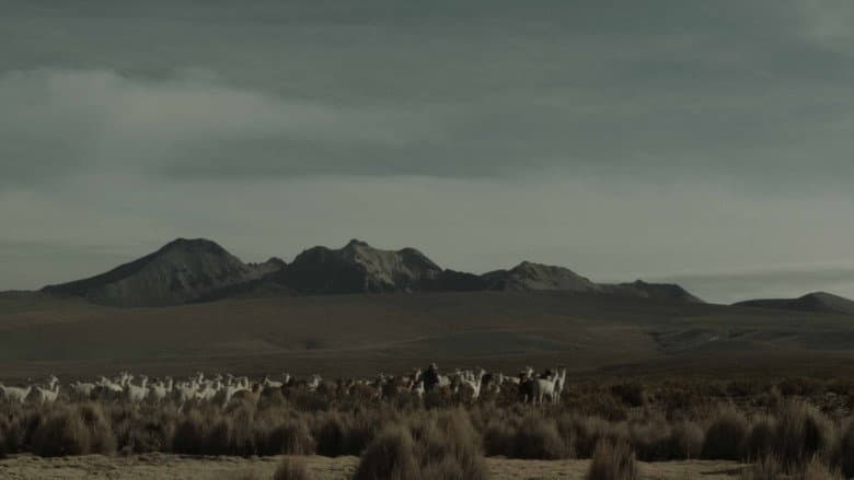 Backdrop from Andean Sheperdess
