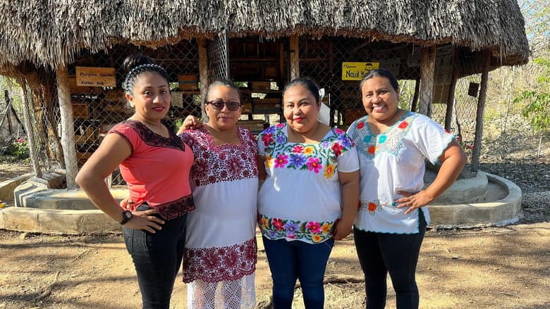 Backdrop from Die Honigfrauen von Yucatán - Las damas de la miel