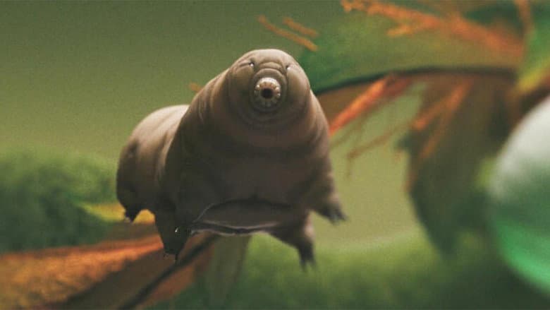 Backdrop from Tardigrade, l'animal indestructible