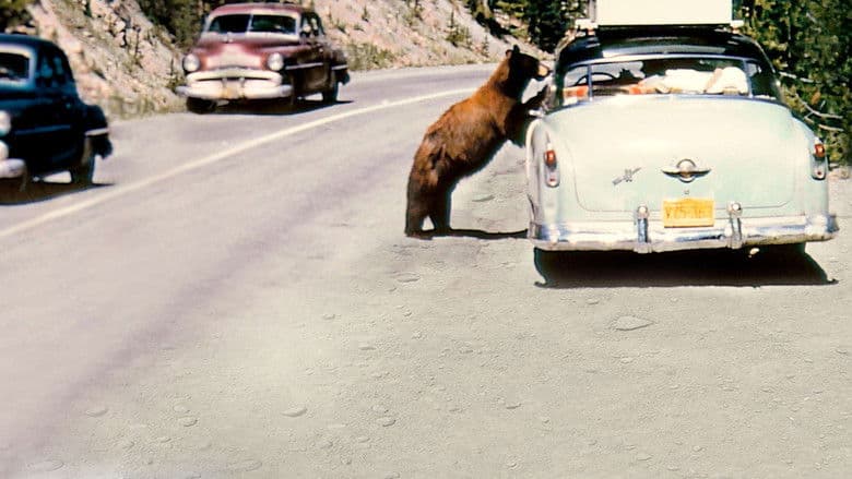 Backdrop from America's National Parks at 100