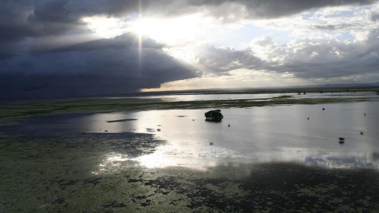 Backdrop from Africa's Lost Eden