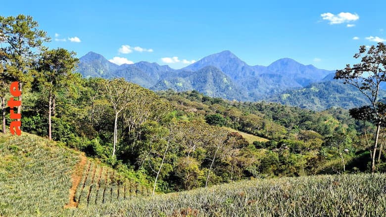 Backdrop from Honduras: Von Regenwald und Strand