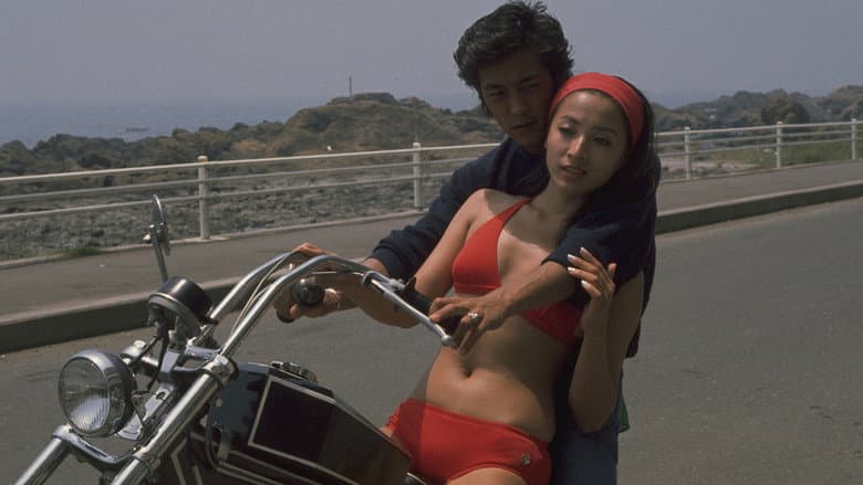 Backdrop from The Runaway Season