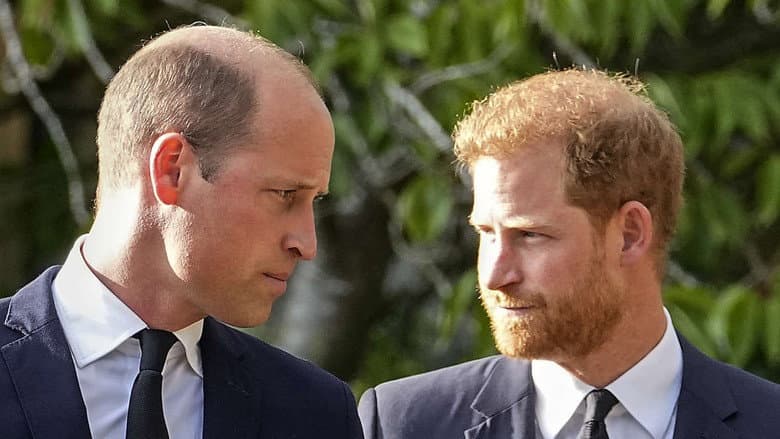 Backdrop from Harry vs. William: Der royale Bruderzwist