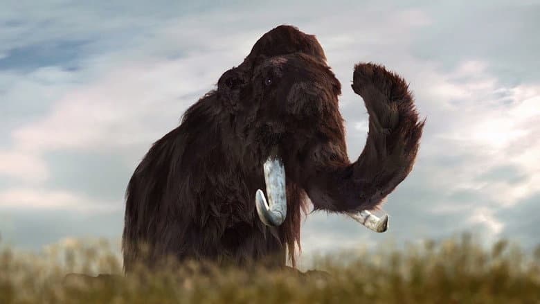 Backdrop from Mammoths: Giants of the Ice Age