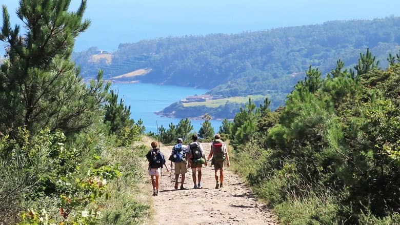 Backdrop from Camino de Santiago - Eine Reise auf dem Jakobsweg