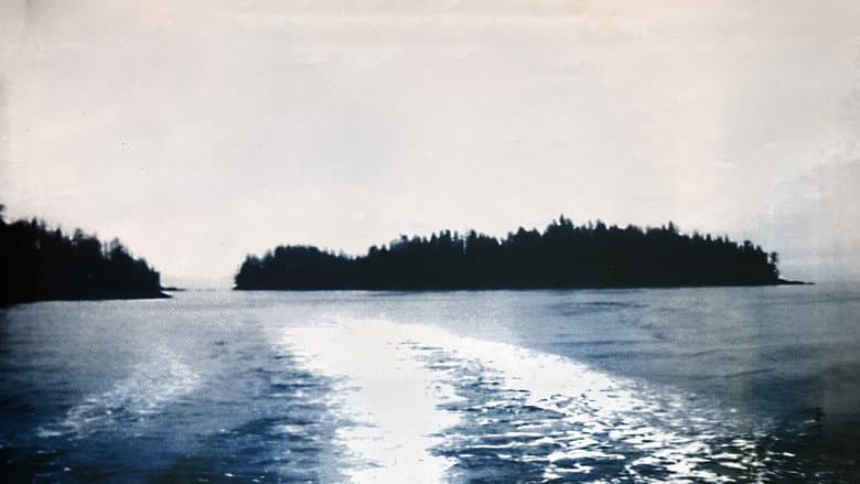 Backdrop from Misty Isle Out