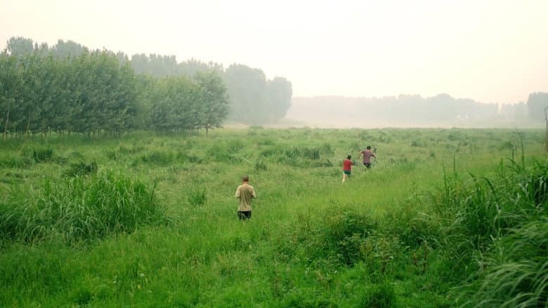 Backdrop from The Midsummer's Voice