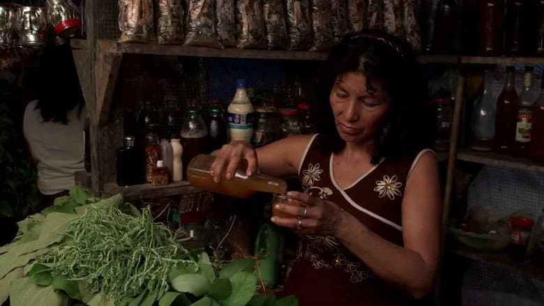 Backdrop from Ayahuasca Diary