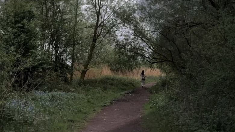 Backdrop from The Missing