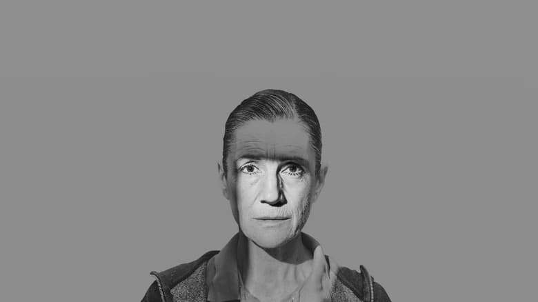 Backdrop from Julius Caesar