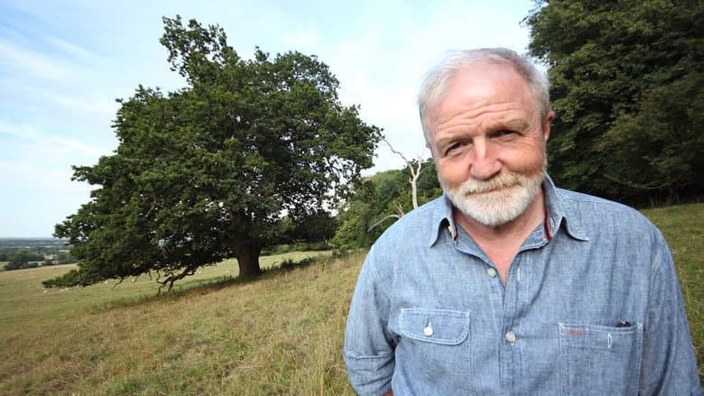 Backdrop from Oak Tree: Nature's Greatest Survivor