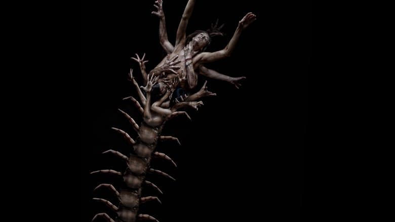 Backdrop from The Human Centipede 2 (Full Sequence)