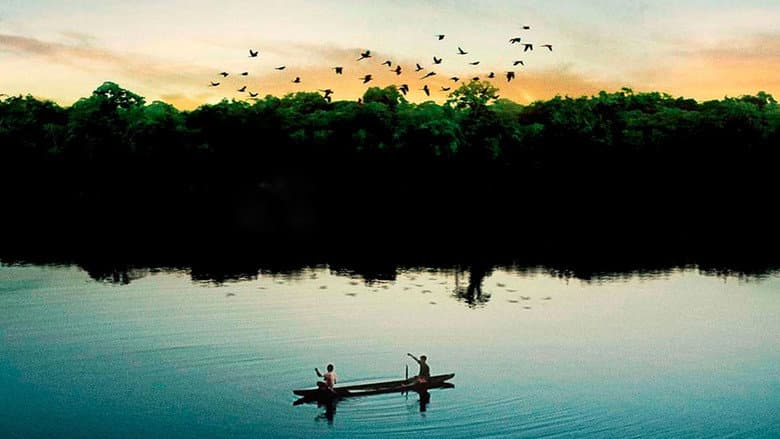 Backdrop from Eternal Amazonia