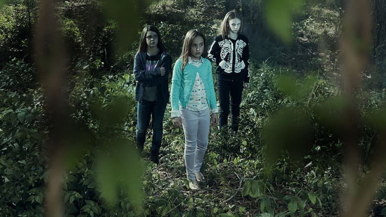 Backdrop from Terror in the Woods