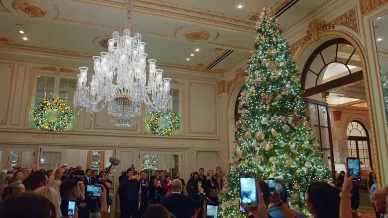 Backdrop from Christmas in New York: Inside the Plaza