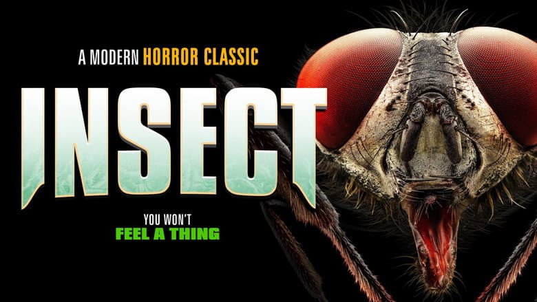 Backdrop from Insect