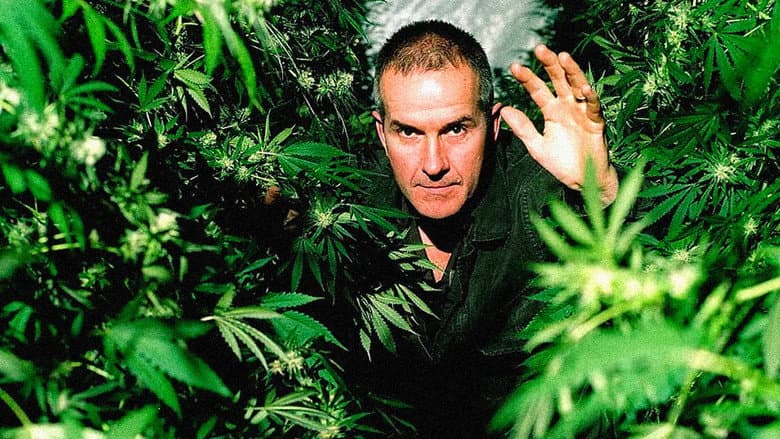 Backdrop from Cannabis: The Evil Weed?