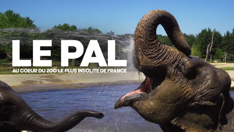 Backdrop from Le Pal : au coeur du zoo le plus insolite de France