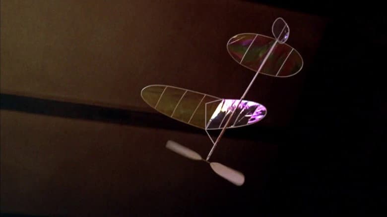 Backdrop from Wings and Things