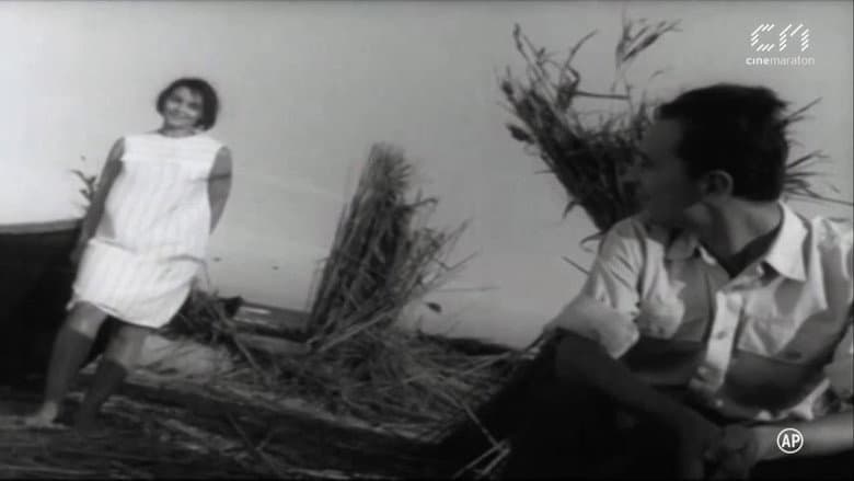 Backdrop from The Endless Shore