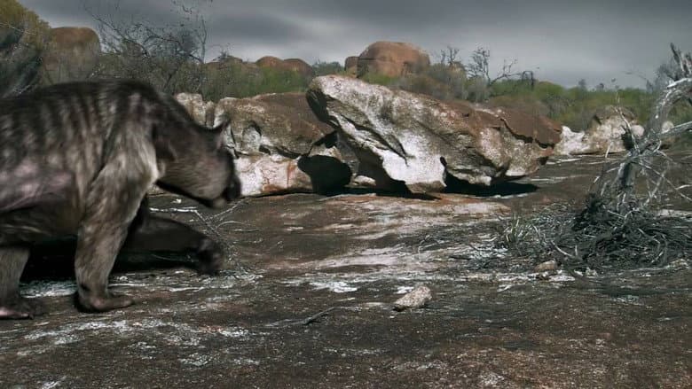 Backdrop from Death of the Megabeasts