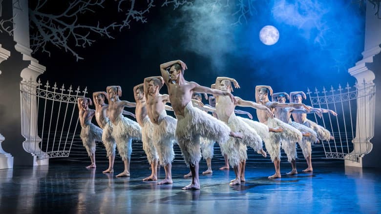 Backdrop from Matthew Bourne's Swan Lake