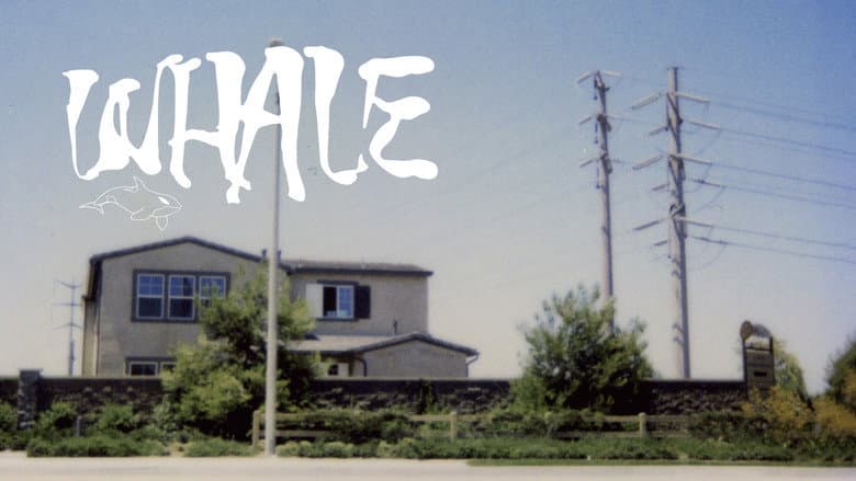 Backdrop from Whale