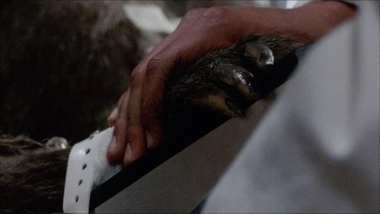 Backdrop from Baboon Bite Maniacs! - "Primal Rage" 35 Years Later