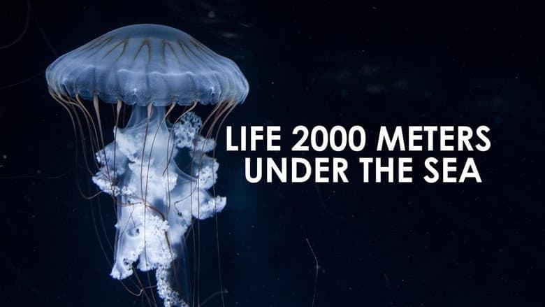 Backdrop from Life 2,000 Meters Under the Sea
