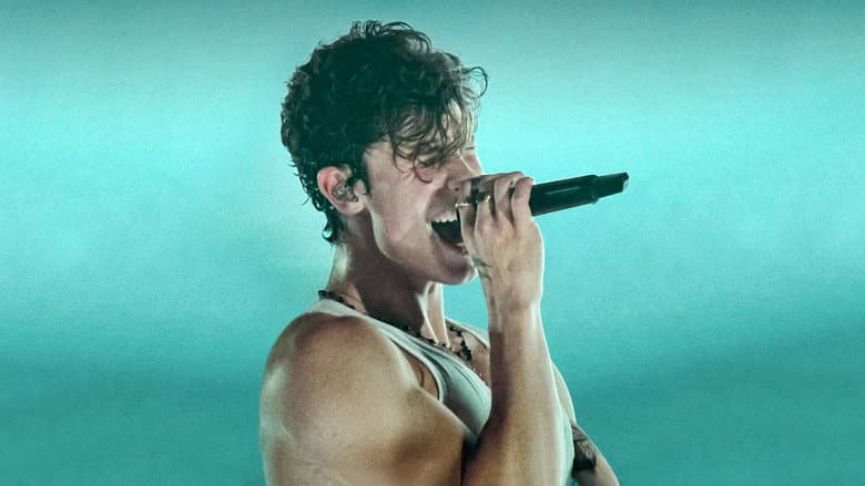 Backdrop from Shawn Mendes: Live in Concert