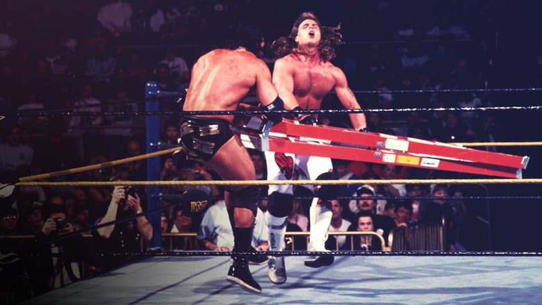 Backdrop from WWE WrestleMania X
