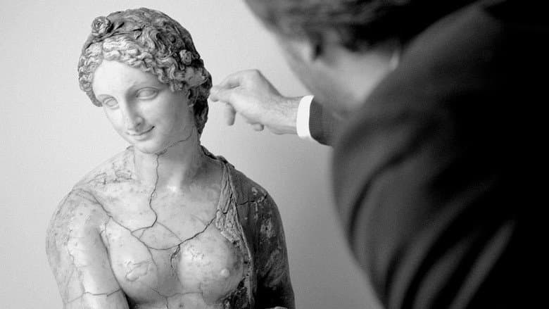 Backdrop from Leonardo da Vinci and the Bust of Flora