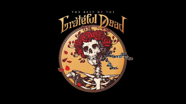 Backdrop from Grateful Dead: View from the Vault