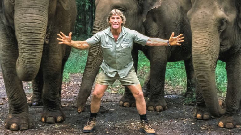 Backdrop from The Steve Irwin Story