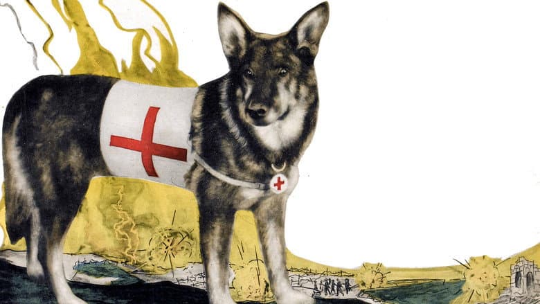 Backdrop from A Dog of the Regiment