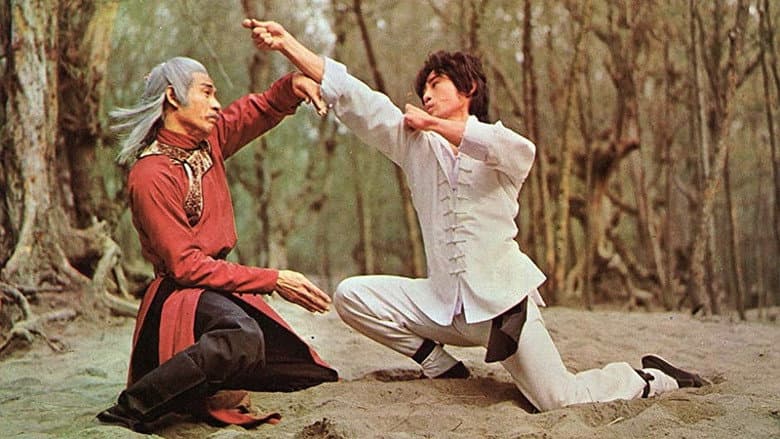 Backdrop from Shaolin Kung Fu Master