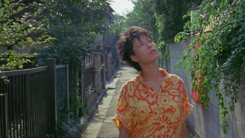 Backdrop from Robinson's Garden